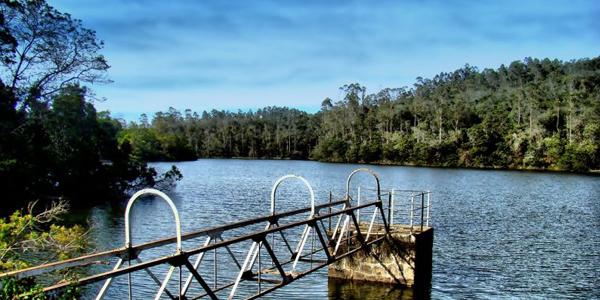 kodaikanal hotels near berijam lake 